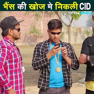 518K views · 13K reactions | भैंस की खोज मे निकली CID | The MriDul #themridul #scene #clips #viral #video #nitin #pragati #mridul | The MriDul | Facebook