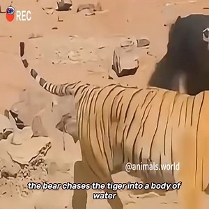 3 Finer Diamante on Reels | Facebook