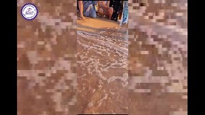 Father Jean Pierre Karam and Father Rami Elias represented Cadmous College in the turtle release event as part of the BLUETYRE project at the Mansouri reserve shore, South Lebanon. | Cadmous College