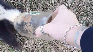 Who smells that? | FailArmy