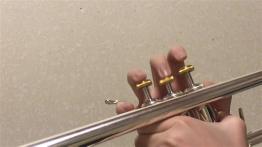 演歌好きだわ〜 #トランペット #吹奏楽 #演歌 #津軽海峡冬景色 #昔の歌が好き