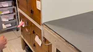 1.3K views · 68 reactions | Two angles of venom extractions from Mexican cantil ( Agkistrodon bilineatus) . | Kentucky Reptile Zoo | Facebook