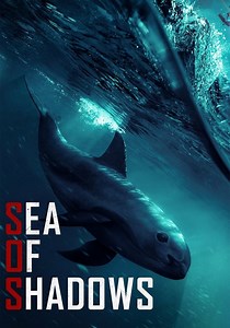 Sea of Shadows (2019)