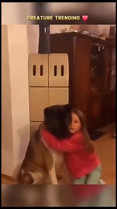 Dogs: The Mirrors of Our Souls. | Creature Trending