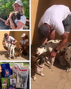 2.3K views · 155 reactions | Max, Wendy, Puck und ihre  Freunde...