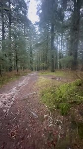 Kodiak, Alaska - Bears are close | Shirtless Jake's Homestead