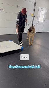 Loki working in the beginning stages of a place command. He’s learning to follow the leash guidance to get onto place and then adding in a little bit of movement once he’s in place to start working on his duration. | Joey Luke's Dog Training | Facebook