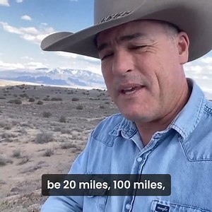 Remote monitoring of your herd has never been easier with Barn Owl #cattlecamera #barncamera #cowcam | American Cattlemen