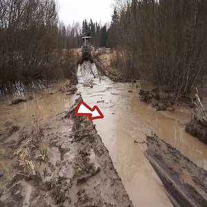 Valtra forestry tractor logging in wet conditions | Machinery Technology