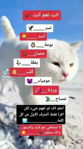 انت نعم انت 🌹🖤#الخيال