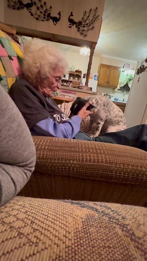 #grandmasoftiktok #adventuresofboobooandchels