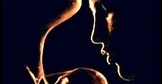 Latin Lover - Venevisión Online