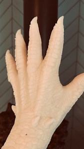 5K views · 2.3K reactions | Moooooaaaahh !!! Silicone predator hands. Hopefully some sculpting later also :) . #latexmask #siliconemask #creaturedesign #monstercostume #practicaleffects | HurleyFX | Facebook