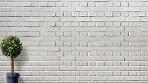 Free zoom background videos