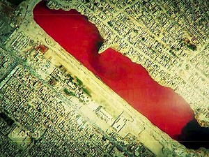 What on Earth? Season 1 Episode 2