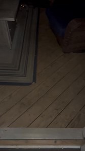 The side winder 😂😂😂😂 #raccoons | Matthew Wilson