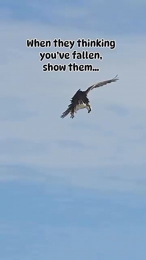 51K views · 897 reactions | #inspiration | UNIQUE QUOTES | Facebook