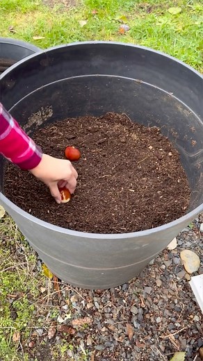 21K views · 938 reactions | Remember to plant your flower bulbs 6...