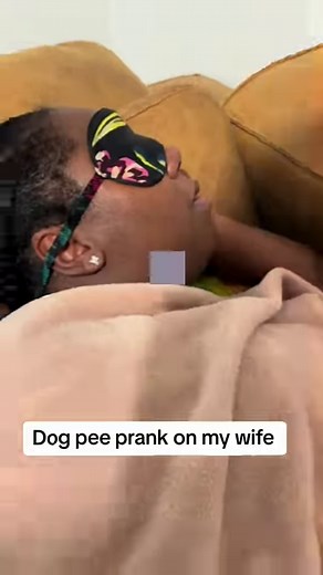 110K views · 2.9K reactions | Dog pee prank on my wife 藍 #reels | Snacks Philly | Facebook