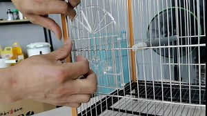 Flat top Bird Travel cage,21 inch Parrot Carrier with Wooden Perch Feeding Cup for Conures Cockatiel Parakeets（Aluminum Frame Sliver）
