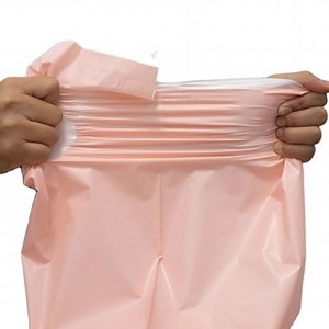 [Hot Item] Biodegradable Express Plastic Mailing Bag Custom Print Logo Courier Poly Mailers