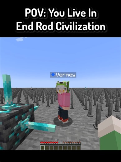 POV: You Live In End Rod Civilization In Minecraft ( FT: @Vermey ) #minecraft #mc #mcyt #funnymoments #minecraftmemes