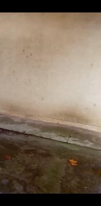 8.6K views · 65 reactions | Како до Наша деца037 | Nasa Deca | Facebook