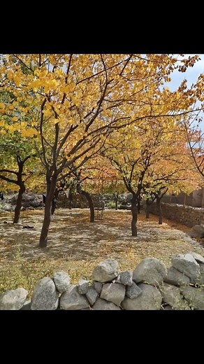 Autumn in Hunza valley | Hunza Explorers