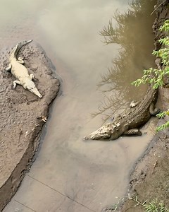 Marvel Years on Reels