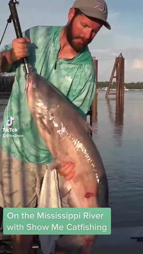 Catfishing on the Mississippi River with Show Me Catfishing. #catfish #MississippiRiver #stl #fishing #FishingLife | Fox2Now