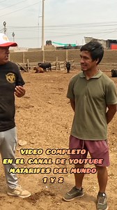 3K views · 20 reactions | MUY PRONTO SE VENDRAN BUENOS VIDEOS CON EL TORERO OSCAR QUIÑONEZ #arribalaganaderiaperuana | Matarifes DEL MUNDO II | Facebook