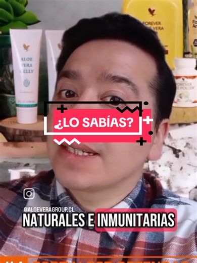 ¿Sabías que el Aloe Vera puede ser tu mejor aliado natural para el cuidado de tu piel, tu digestión y tu bienestar diario? En este video te muestro el poder de esta planta milenaria, base de todos nuestros productos. Comienza hoy a cuidar tu cuerpo con lo que la naturaleza nos regala. Escríbenos por DM o haz clic en el link de la bio para conocer nuestros productos y promociones. #AloeVera #BienestarNatural #ForeverLiving #SaludConAloe #Aloelovers #natural
