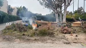 1 dead after being electrocuted in Malibu tree-trimming accident: LASD