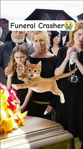 EVERYBODY DO THE FLOP. Funeral crasher. 😭