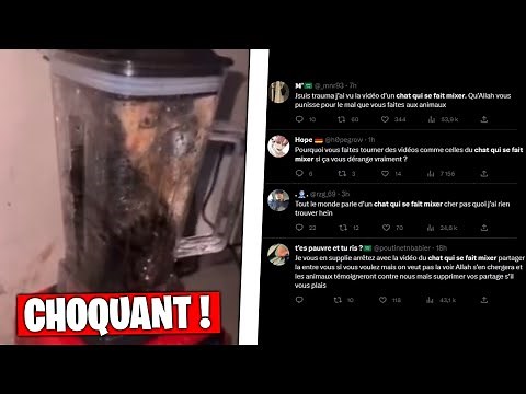 La Vidéo Du Chat Qui A Choquer TOUT LE MONDE...