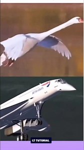 Concorde Design is a Copy OF An Elegant #airplanes