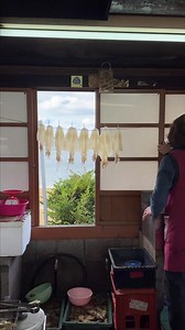 【旅びとキャンパーまいさん × 佐賀県情報発信所②】 キャンピングカーで海沿い道路「ルート・グランブルー」を旅するプラン。絶景&佐賀でしか食べられない新鮮お得な海鮮尽くし。 ※動画内に掲載されている価格は取材時の価格です 「佐賀県情報発信所では様々な人気クリエイターの方と佐賀県の魅力を発信中！」 #佐賀県 #旅行 #観光 #キャンピングカー #バンライフ