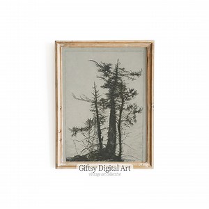Vintage Line Art Tree | Digital Download | Printable Art | Antique Sketch | Minimalist Digital Painting | Timeless Home Decor | Elegant G17 - Etsy