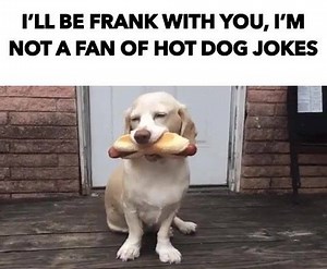 Hot dog jokes are sort of the wurst. | Gfycat