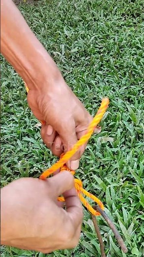 Genius Camping Rope Trick You Wish You Knew Sooner! ⛺🪢#knot #knottrick