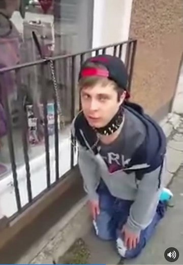 bdsm slave Dog