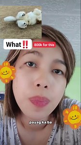 Payag kaba kauragons 🤣 #dogcostume #quadsuite #collie #fursuits #dog #kigurumi #fypシ゚viral #fyp #fbreels #millionairemindset #millionaire #toco dog costume japanese man dog costume ewok dog costume grinch dog costume demogorgon dog costume chucky dog costume diy dog costume dobby dog costume slinky dog costume skeleton dog costume cat dog costume chewbacca dog costume kissing booth dog costume last minute diy dog costume dog costume amazon dog costume anime dog costume astronaut dog costume acc