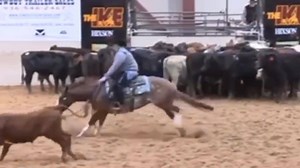 ‼️‼️It’s Finals Day at The Ike‼️‼️ So proud of all of our teams that made it back for today! Check out Nelson Vivas and Nina marking a 216.5 yesterday in the video below!! ◾️ 4 yr old Amateurs◾️ David Taurel & Hottie Jacob Taurel & Mandi ◾️ 5/6 yr old Amateurs◾️ David Taurel & Goose Jacob Taurel & Goose Nelson Vivas & Nina Faith Skinner & Suave | Valley View Ranch LLC