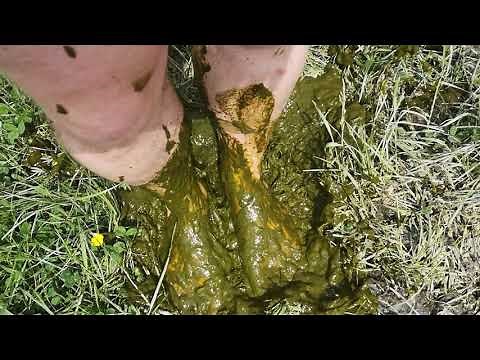 Bare foot cow pat shit stomping