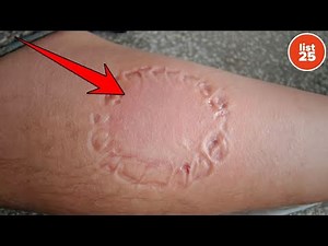 Terrifying Truths Hiding in Plain Sight