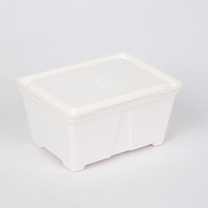 [Hot Item] Pulp Molded Box for Food Container Electric Gift Box and Cosmetics with SGS and Reach Certification