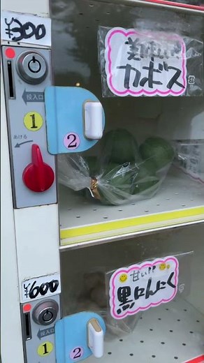 Fresh vegetables vending machine in Japan