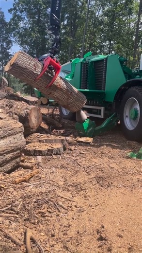 Top of the biggest wood milling machines. | Media 2