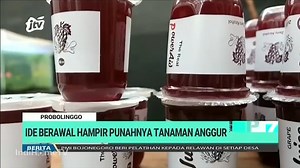 20K views · 203 reactions | ANEKA MINUMAN OLAHAN ANGGUR DARI PROBOLINGGO | JTV Banyuwangi | Facebook