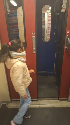 5.5K views · 53 reactions | Amsterdam to Brussels train...